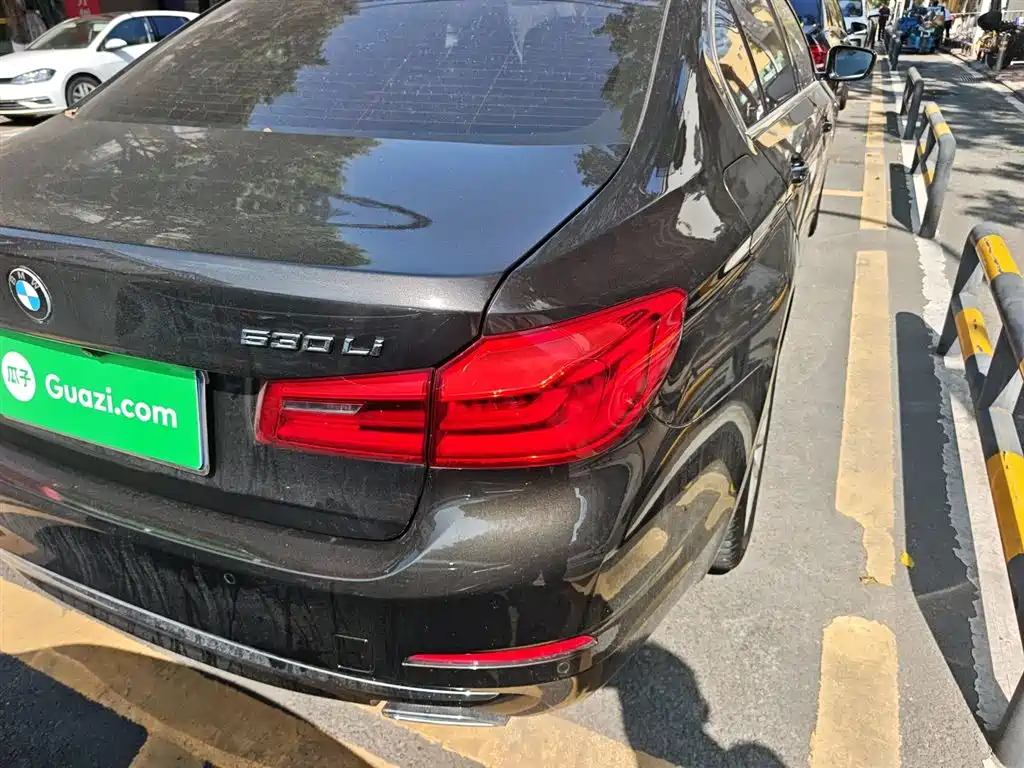 BMW 5 Series 2018 530Li Leading Luxury Package фото 24
