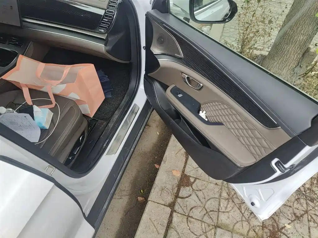 BYD Han 2022 DM-i 121KM Premium Edition фото 19