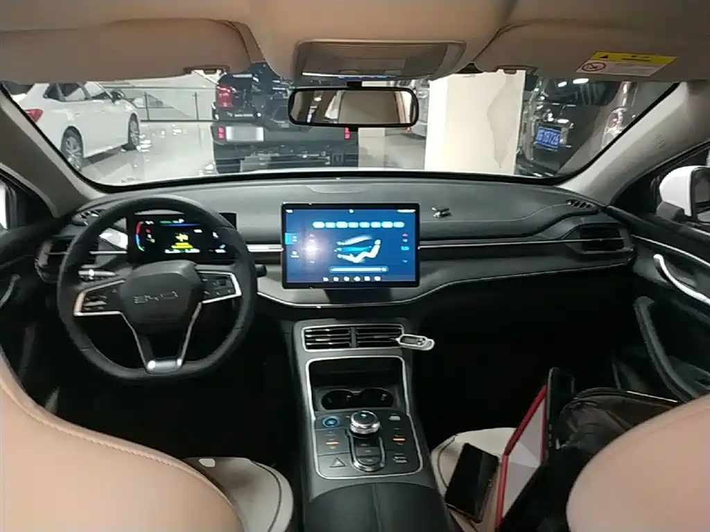 BYD Destroyer 05 2024 Glory Edition DM-i 55KM Luxury фото 10