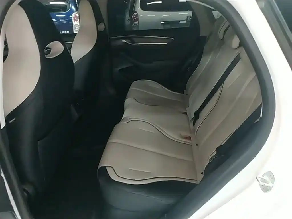 BYD Destroyer 05 2024 Glory Edition DM-i 55KM Luxury фото 17