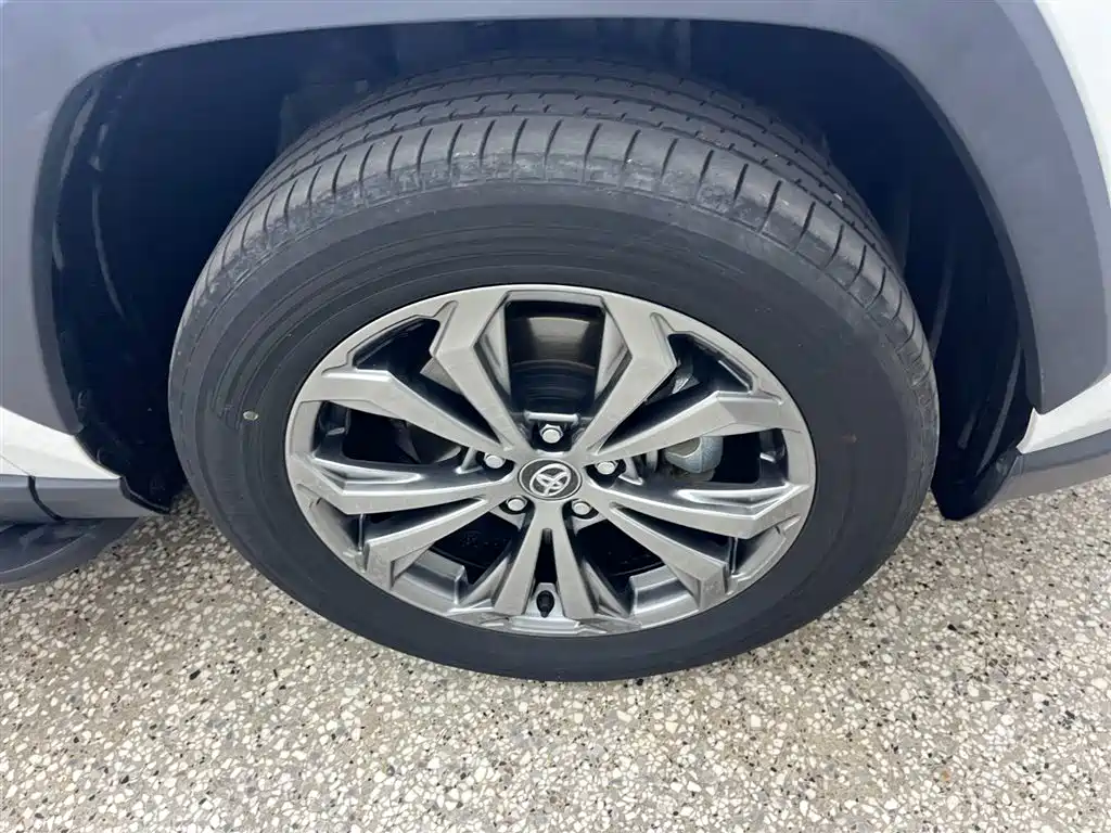 Toyota RAV4 Rongfang 2023 2.0L CVT FWD Style Plus Edition фото 11