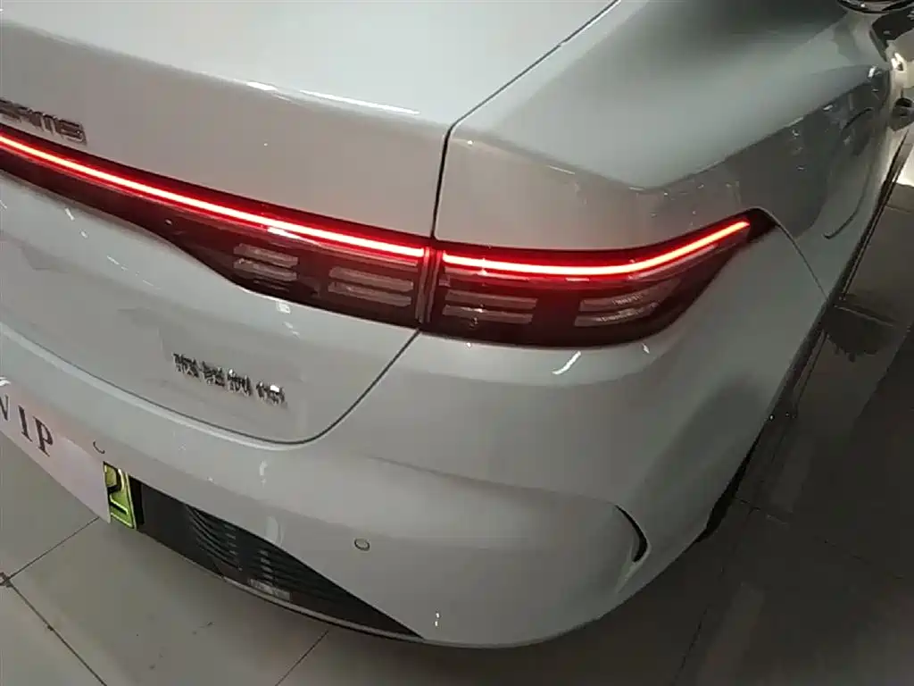BYD Destroyer 05 2024 Glory Edition DM-i 55KM Luxury фото 8