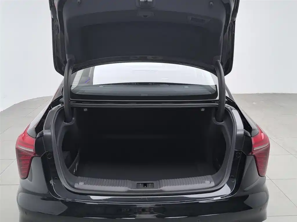 Hongqi H5 2023 2.0T Auto Smart Connect Flag Comfort фото 16
