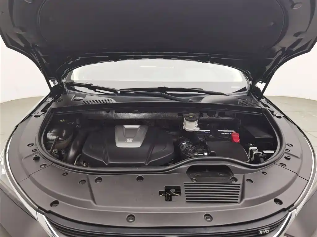 BYD Tang 2019 2.0T Automatic Smart Connect Luxury 5-seater China VI фото 6