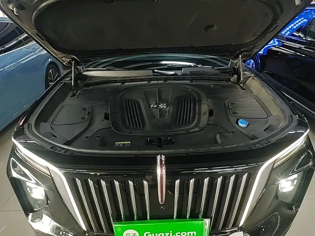 Hongqi E-HS9 2022 660km Qi Chang Edition (6-seater) фото 20