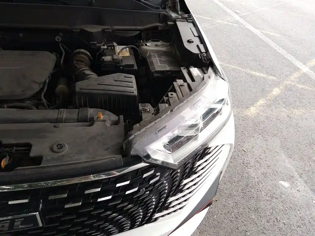Haval H6 2022 3rd Gen 1.5T Auto 2WD Supreme+ фото 22