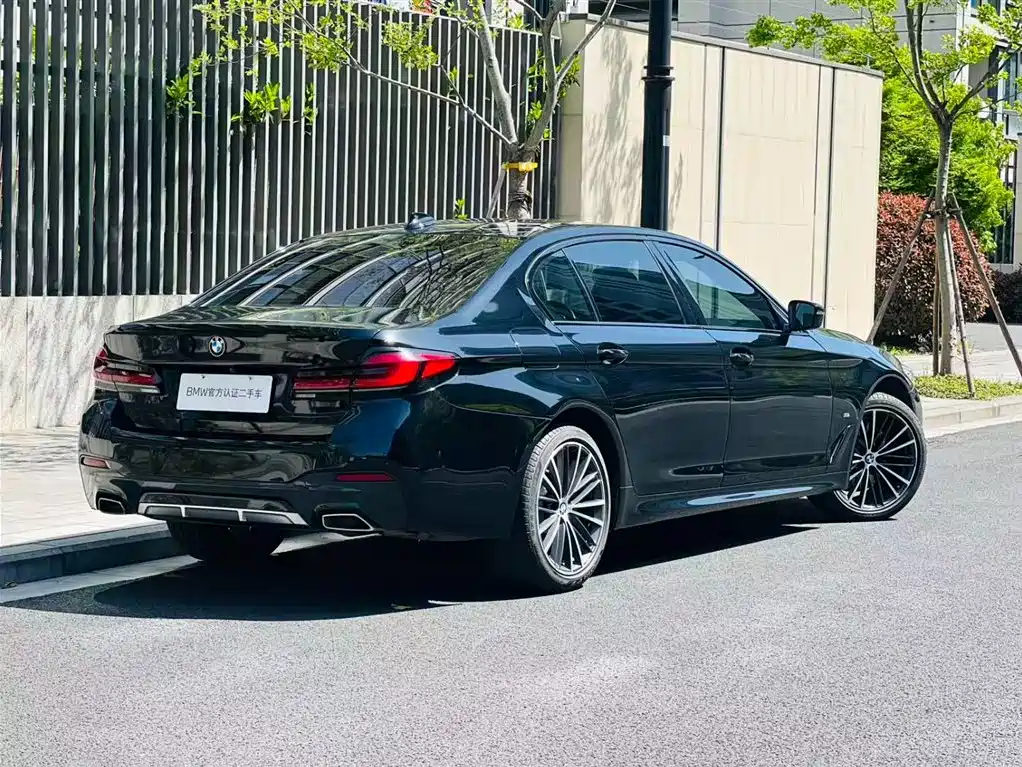 BMW 5 Series 2021 530Li Leading M Sport Package фото 3