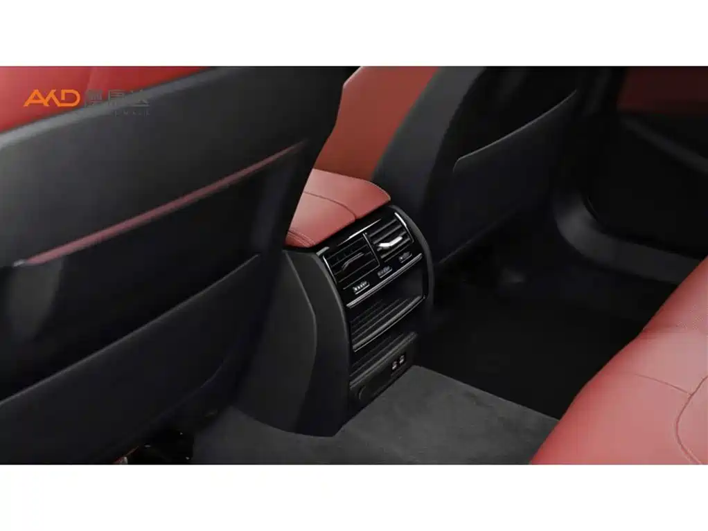 BMW 5 Series 2021 525Li Luxury Package фото 9