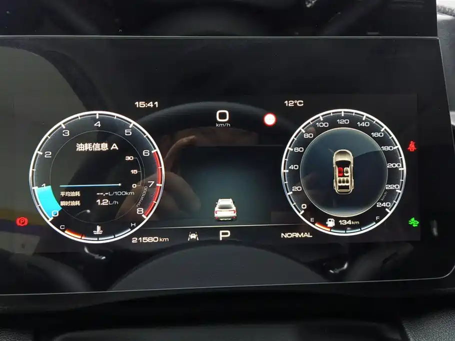 Haval Big Dog 2024 1.5T DCT Border Collie Edition фото 14