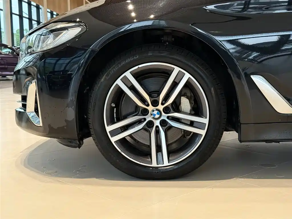 BMW 5 Series 2021 530Li Leading Luxury Package фото 9