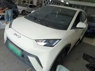 BYD Seagull