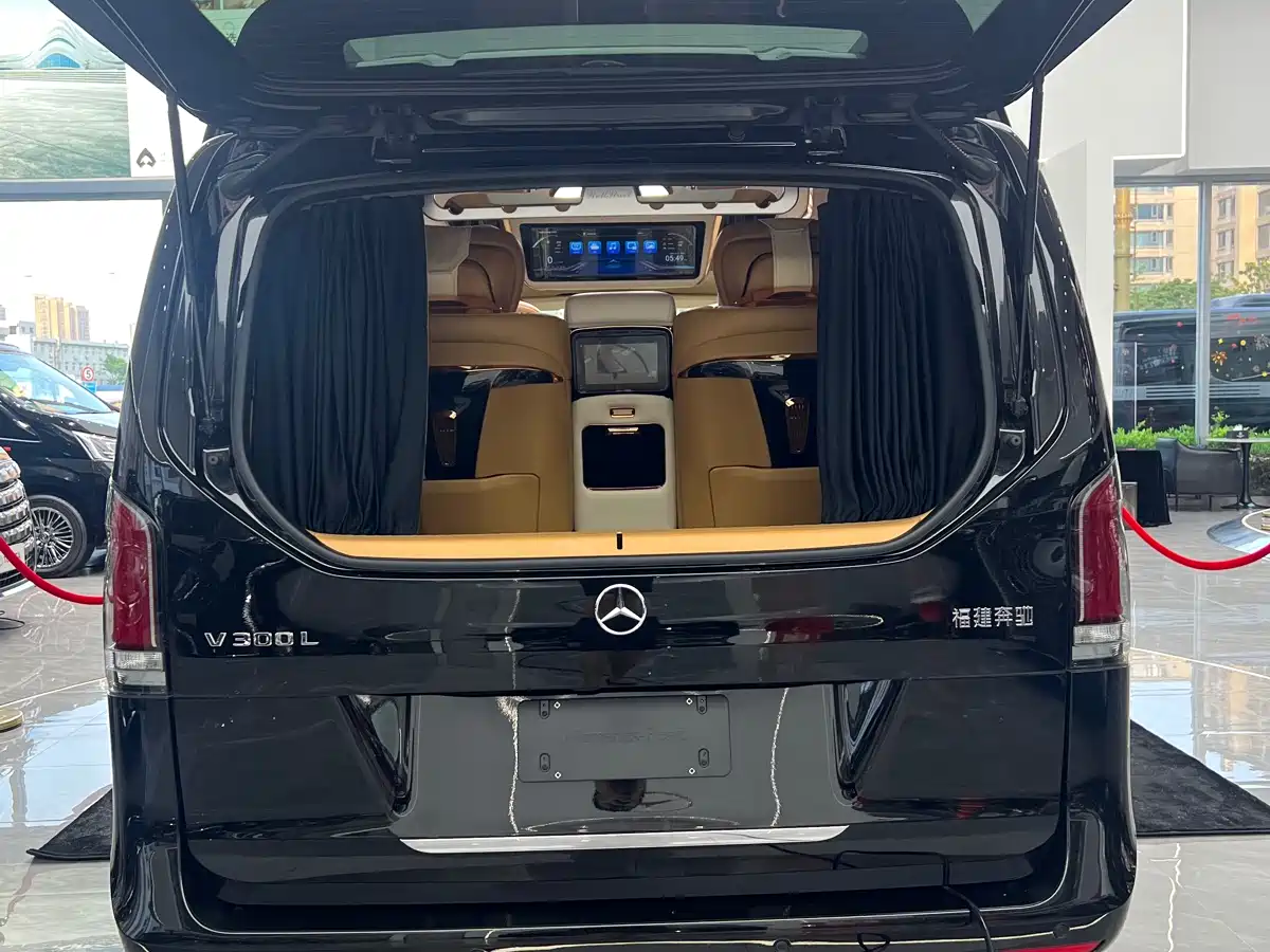 Mercedes-Benz V-Class 2024 V 300 L Long Wheelbase Premium фото 21