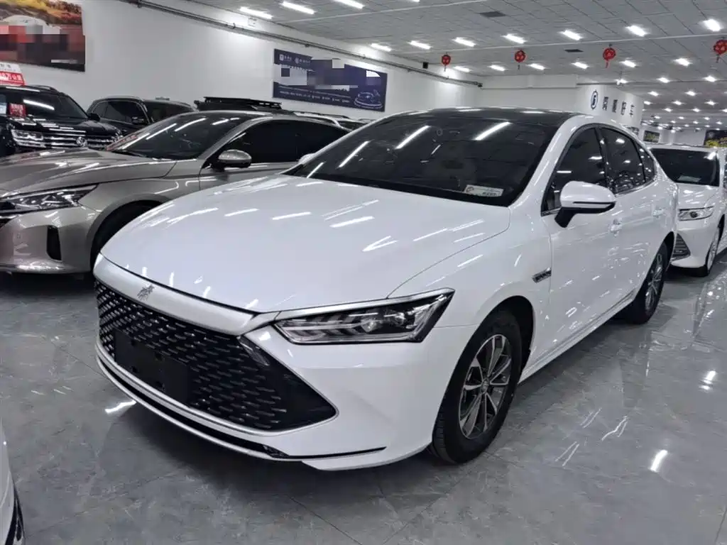 BYD Qin PLUS 2023 Champion Edition DM-i 55KM Leading