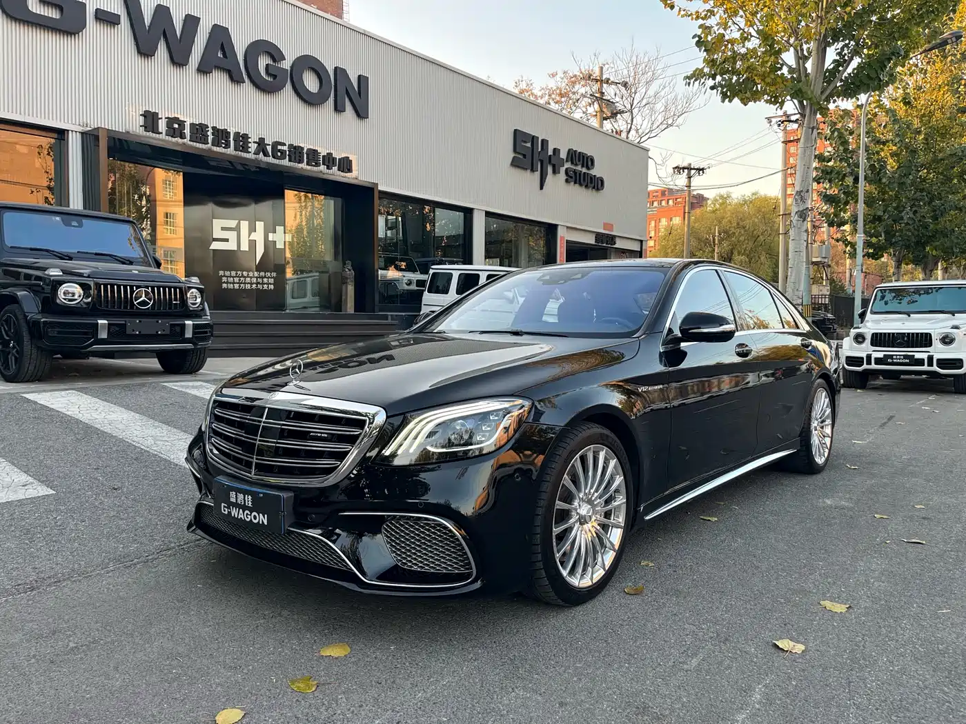 Mercedes-Benz S-Class AMG 2018 AMG S 65 L