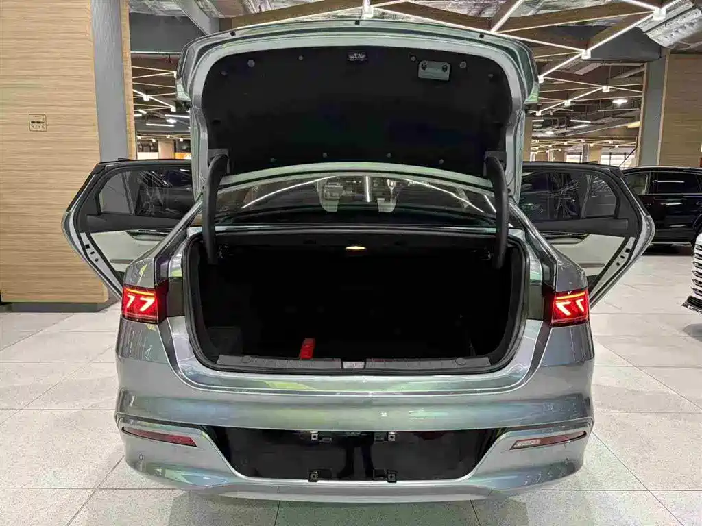 BYD Qin PLUS 2023 Champion Edition DM-i 120KM Leading Type фото 16