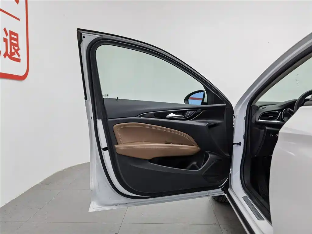 Buick Regal 2017 20T Elite Type фото 8