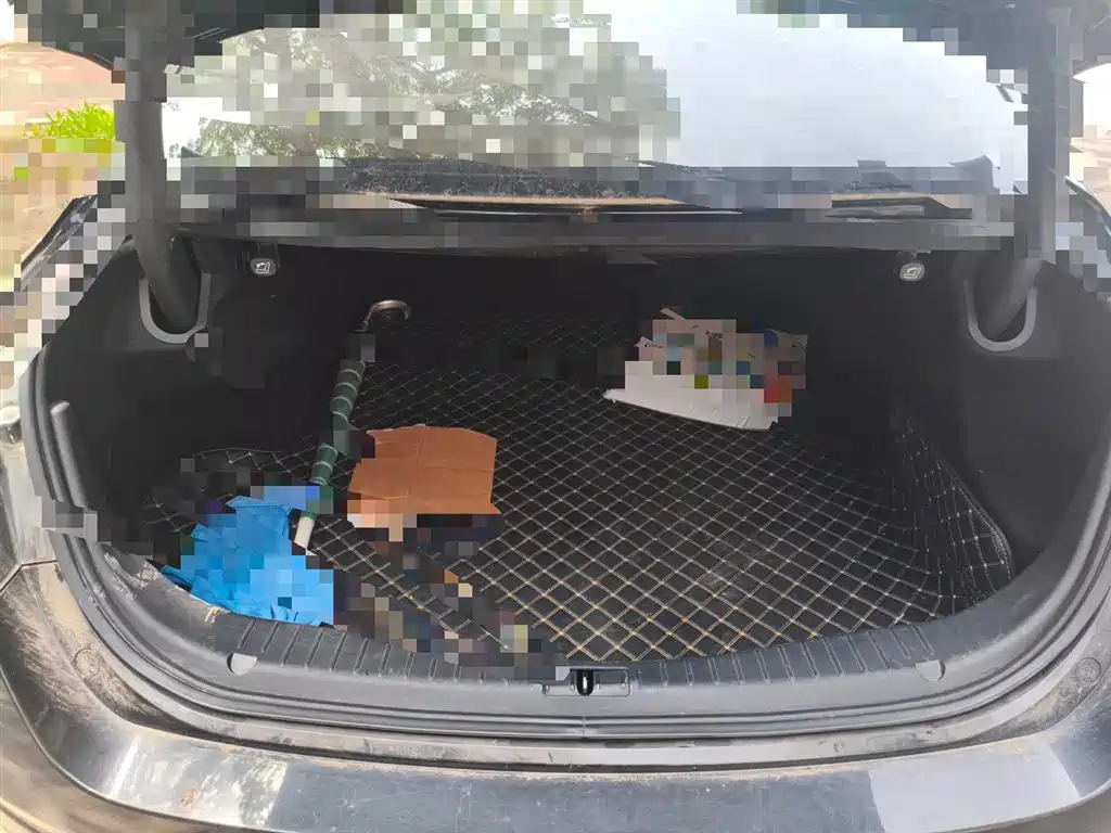 Hongqi H5 2019 30TD Style Edition фото 10