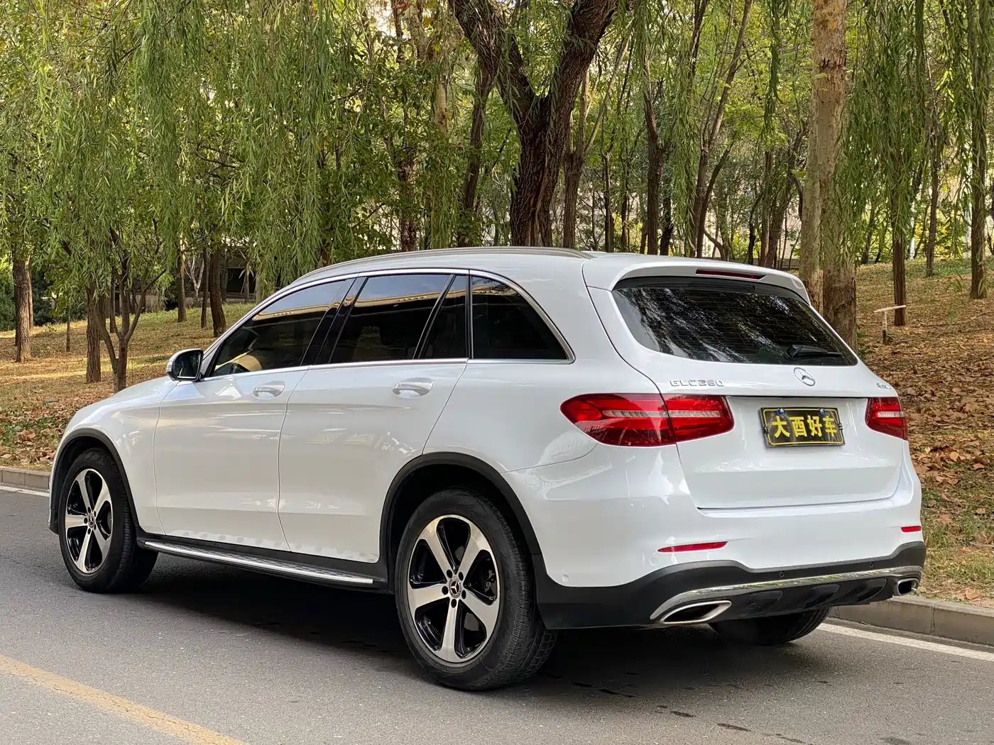Mercedes-Benz GLC 2019 GLC 260 L 4MATIC Dynamic фото 7