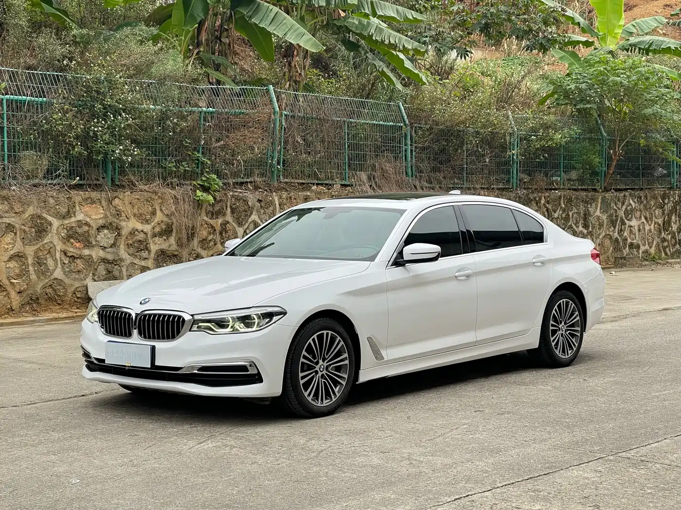 BMW 5 Series 2020 530Li Premium Luxury Package