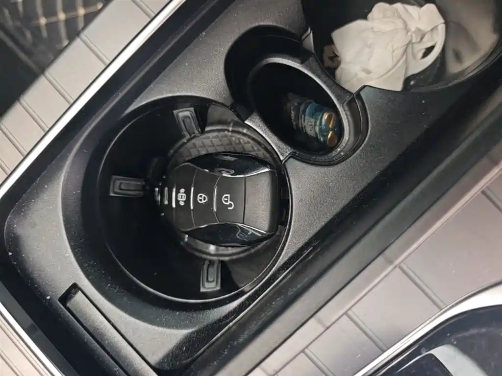 Hongqi HS7 PHEV 2024 2.0T PHEV AWD Qichang Edition 7-seater фото 9