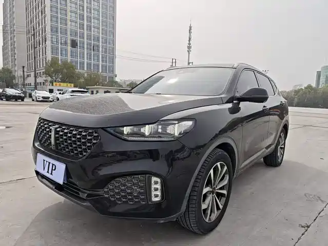 WEI PAI WEI BRAND VV6