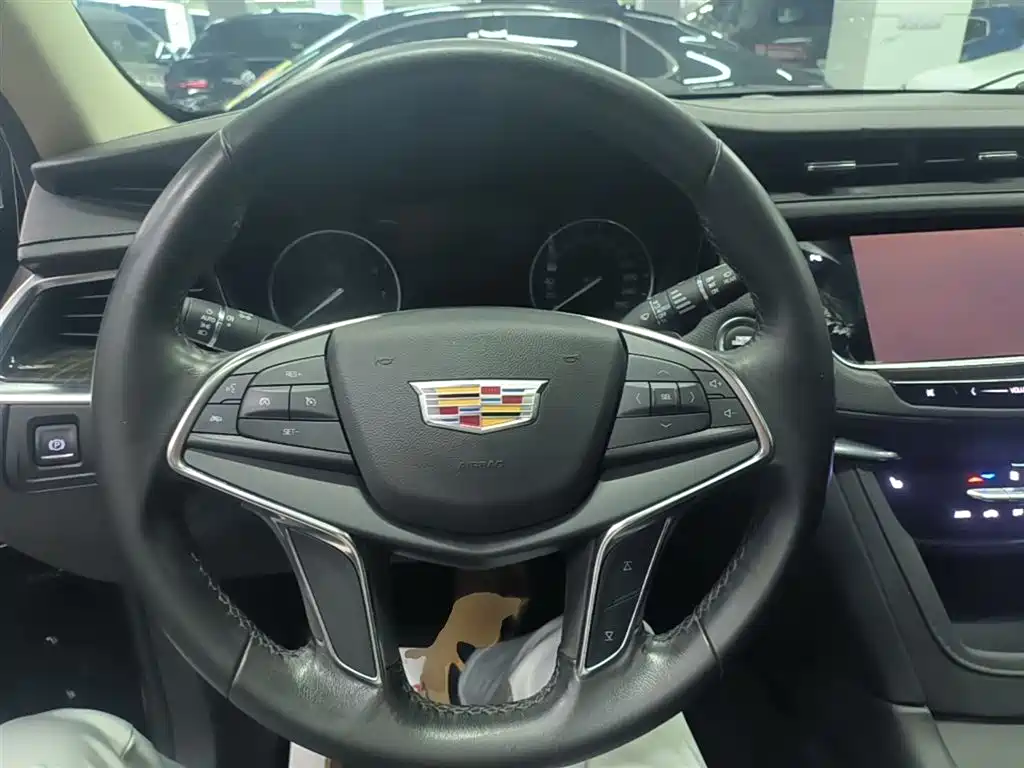 Cadillac XT5 2018 25T Luxury фото 11