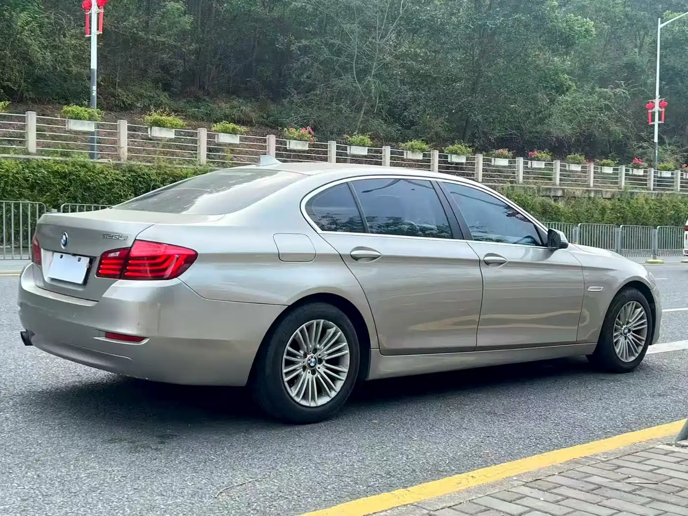 BMW 5 Series 2014 525Li Leading фото 9