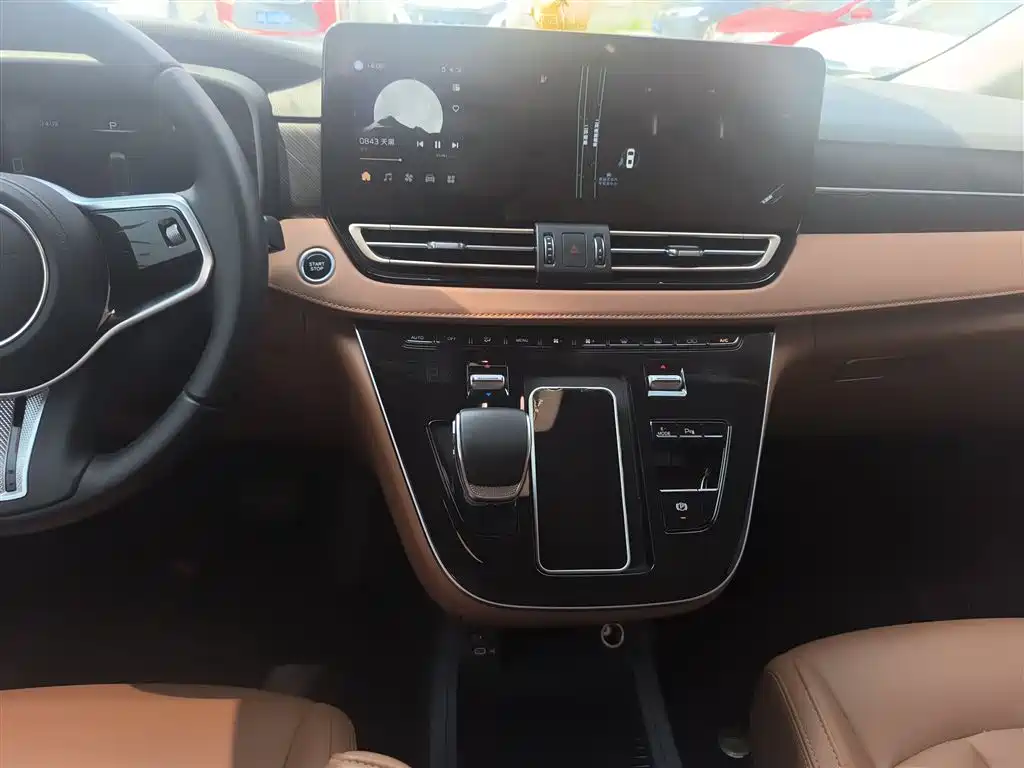 Hongqi HQ9 PHEV 2024 Model 2.0T AWD Business Edition фото 13