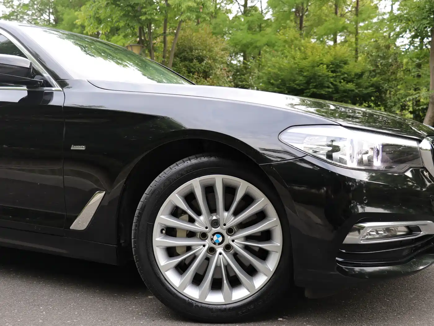 BMW 5 Series 2018 530Li Leading Luxury Package фото 8