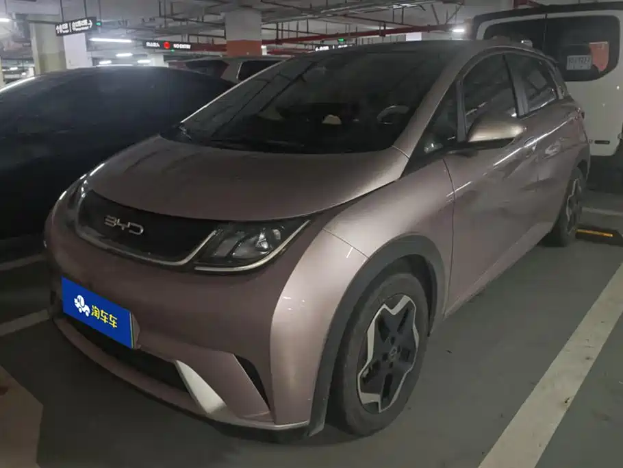 BYD Dolphin 2021 Model 405km Fashion Edition