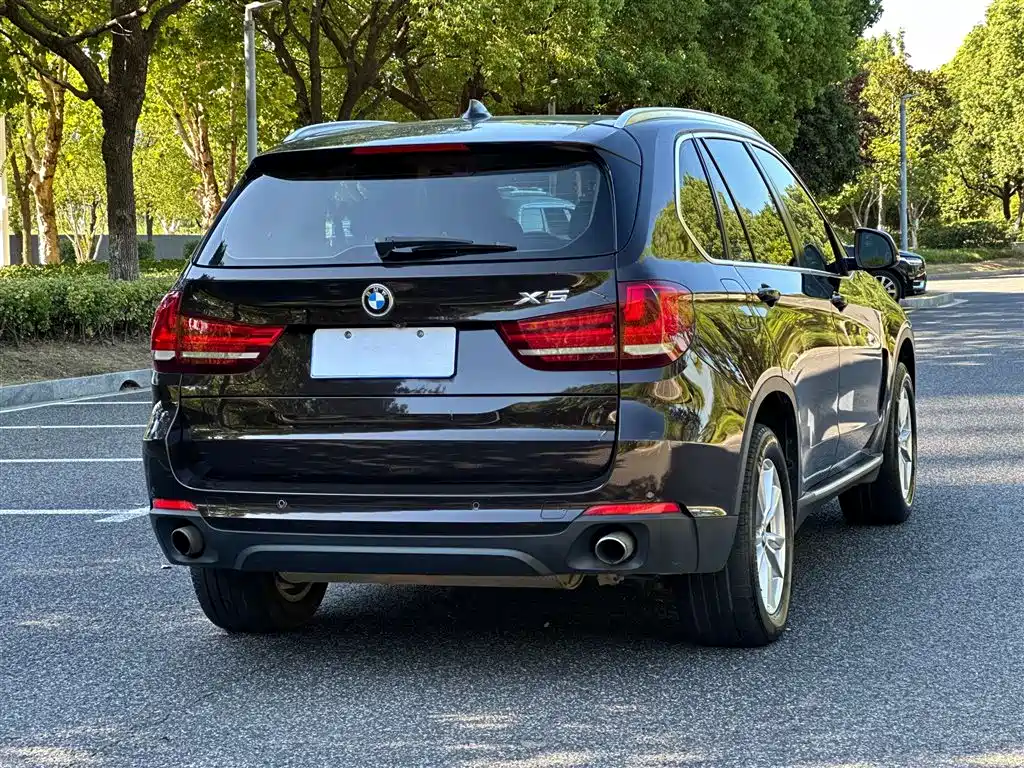 BMW X5 (Import) 2014 xDrive35i Leading фото 4