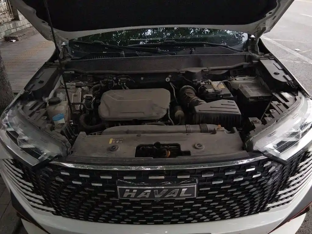 Haval H6 2022 3rd Gen 1.5T Auto 2WD Supreme+ фото 11