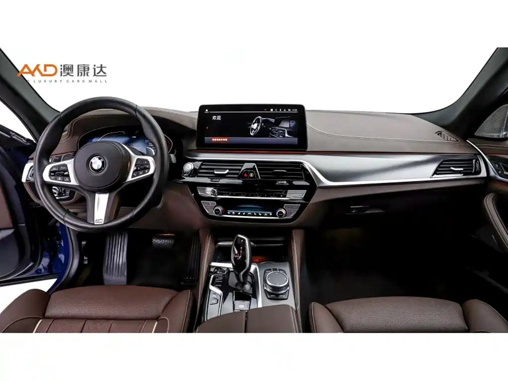 BMW 5 Series 2021 Facelift 530Li Executive M Sport Package фото 5
