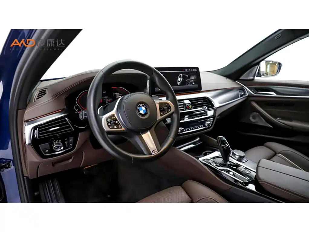 BMW 5 Series 2021 Facelift 530Li Executive M Sport Package фото 6