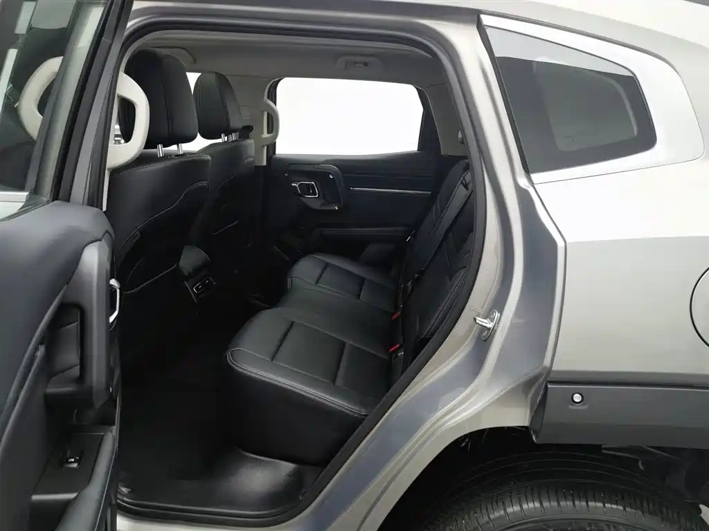 HAVAL SECOND GENERATION BIG DOG NEW ENERGY