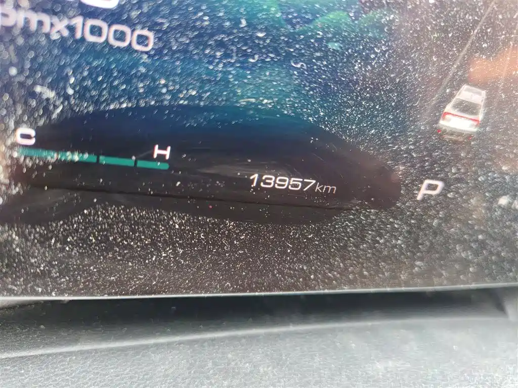 Haval Big Dog 2024 1.5T DCT Border Collie Edition фото 5