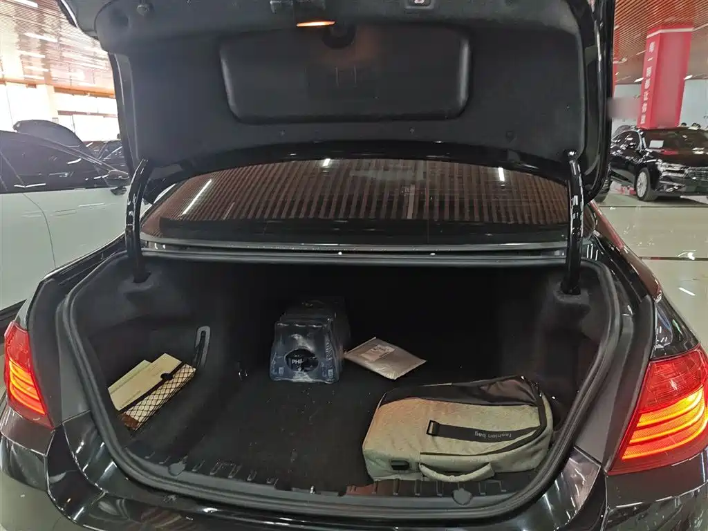 BMW 5 Series 2017 525Li Luxury Design Package фото 15