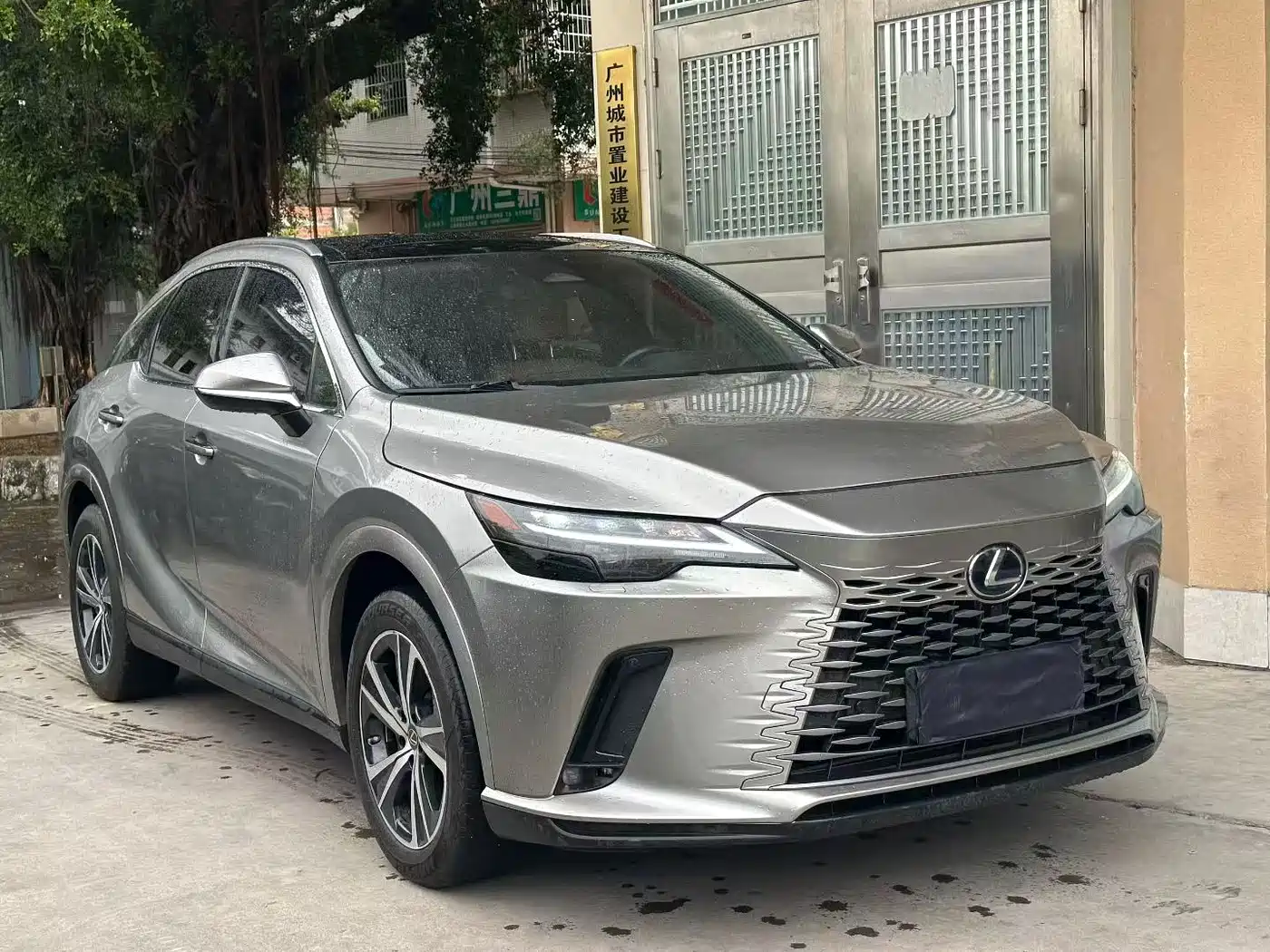 LEXUS RX