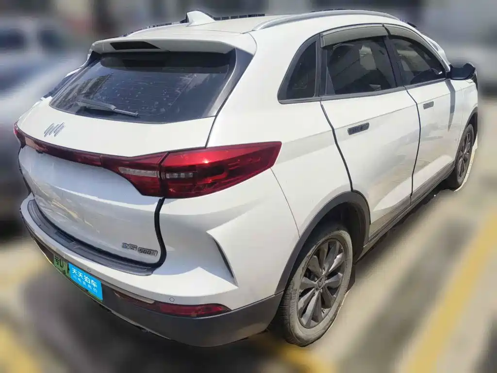 Weltmeister EX5 2020 2020 EX5 520 Jike Travel Edition