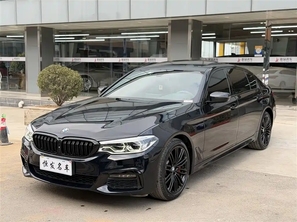 BMW 5 Series 2019 530Li Premium M Sport Package фото 4