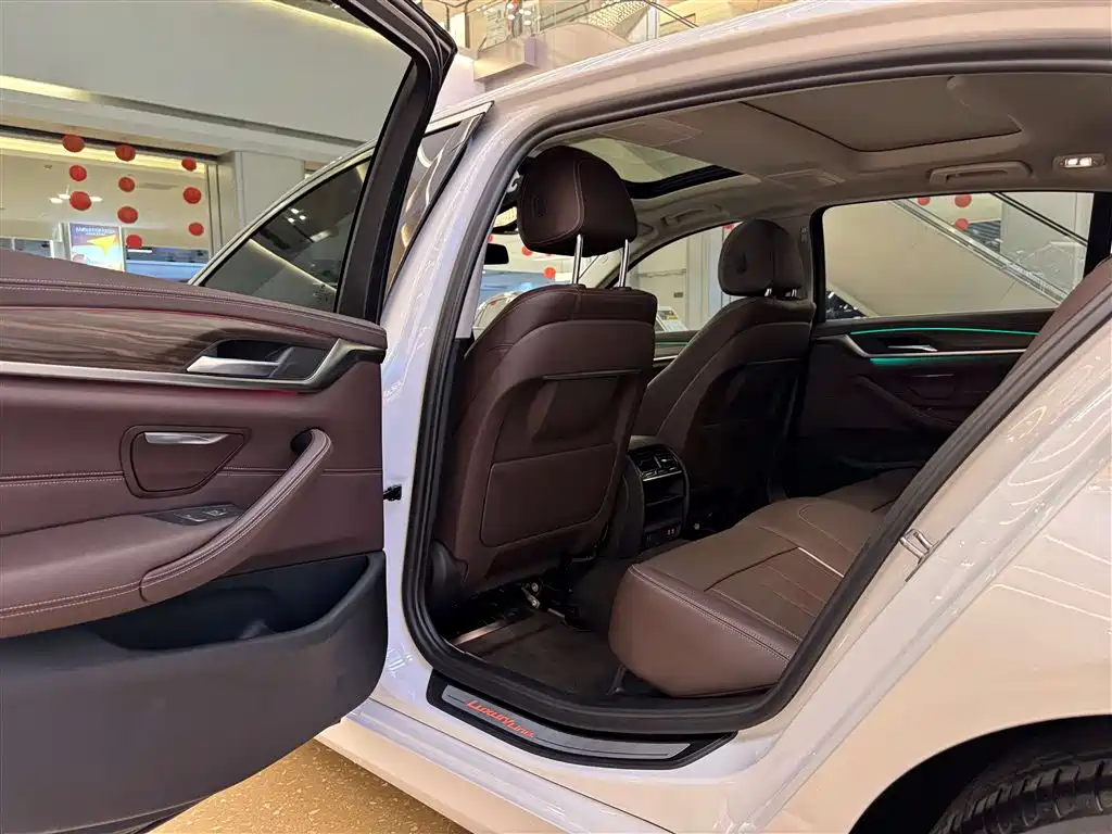 BMW 5 Series 2021 Facelift 530Li Leading Luxury Package фото 22