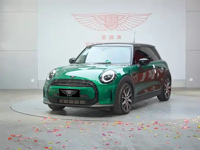 MINI 