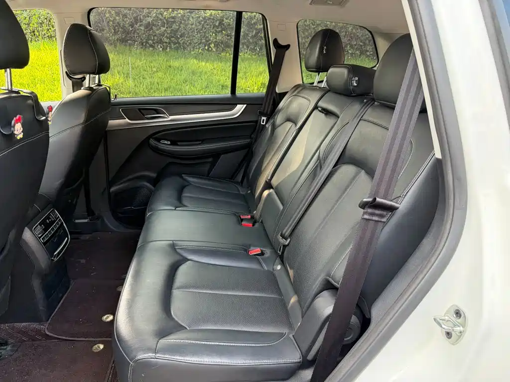 Roewe RX8 2023 2019 30T 2WD Flagship Edition