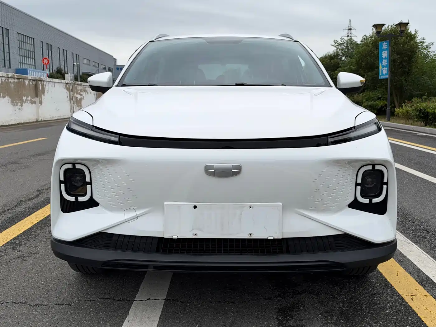 Geely Geometry E Firefly 2024 2024 Model 301km Starlight