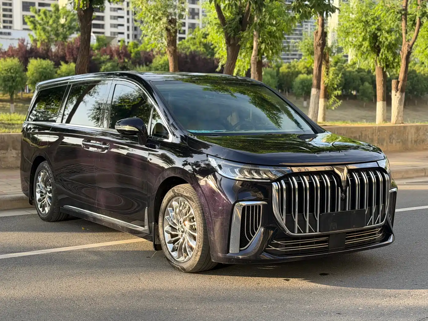 Voyah Auto Voyah Dreamer 2024 PHEV Extended Range Flagship Edition фото 3
