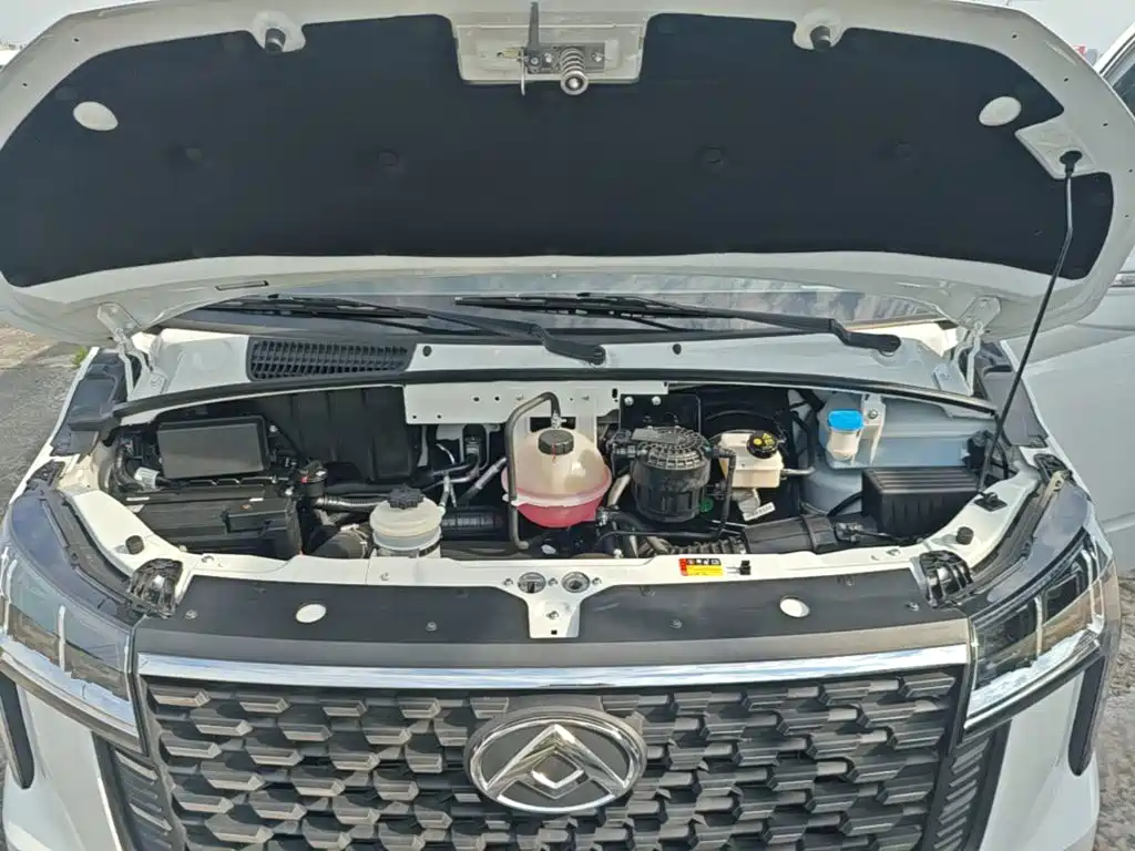 Photo 20 - Maxus Xintu V80