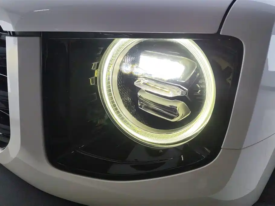 Haval Big Dog 2021 1.5T DCT 2WD Border Collie Edition фото 5