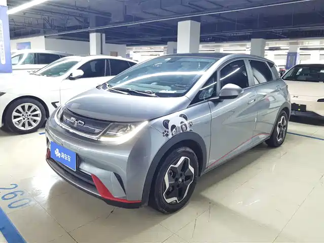 BYD DOLPHIN