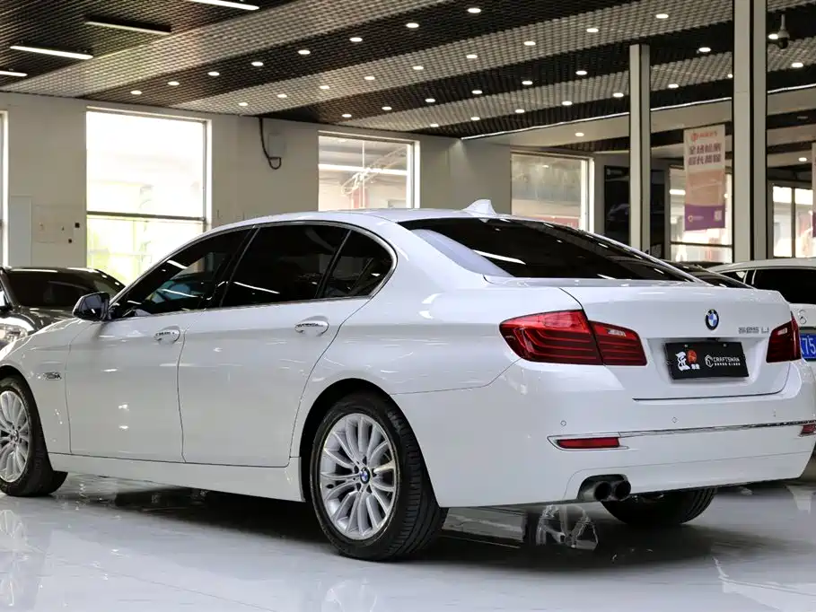 BMW 5 Series 2017 525Li Luxury Design Package фото 20