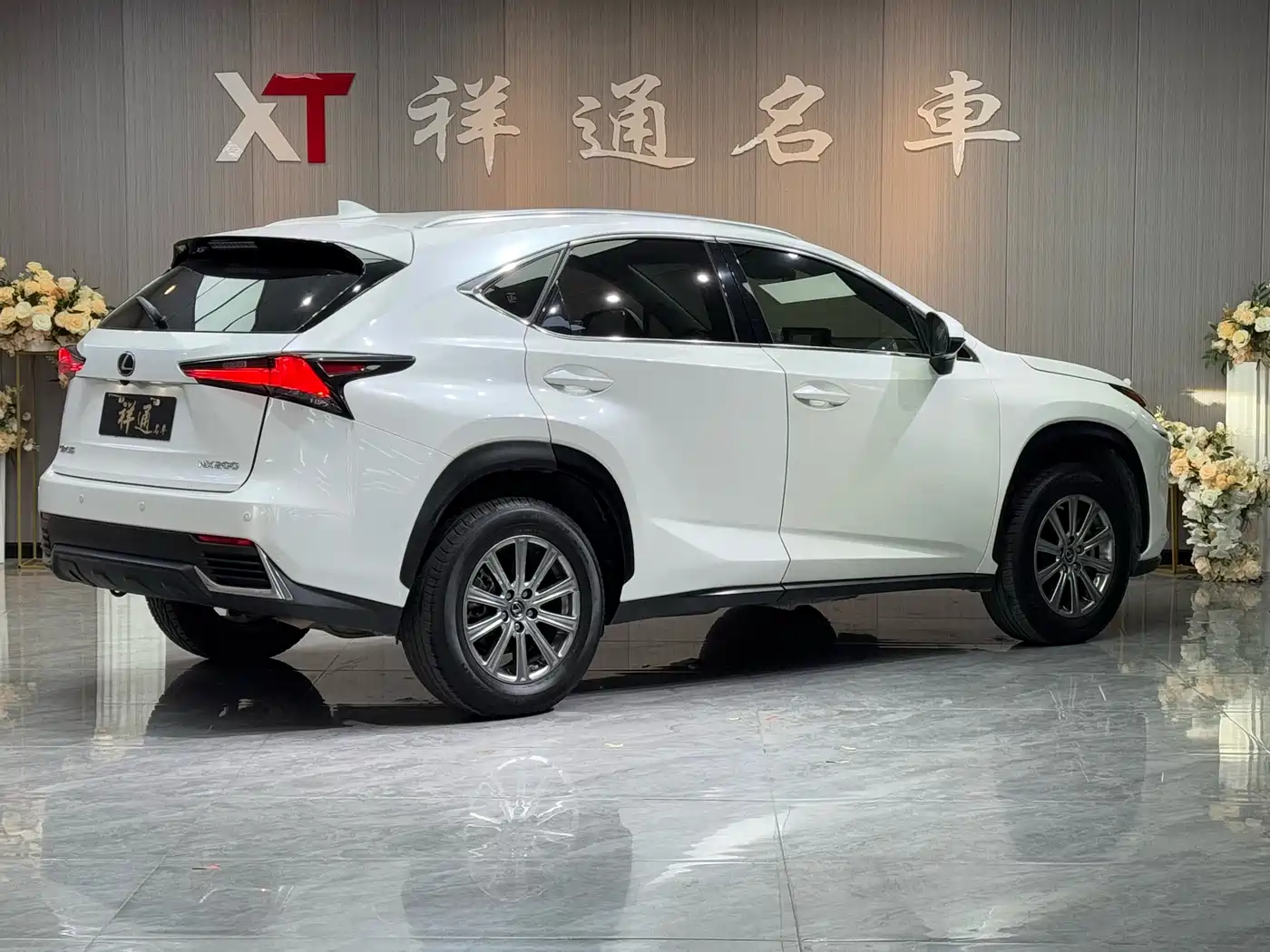 Lexus NX 2020 200 AWD F Sport China VI фото 10